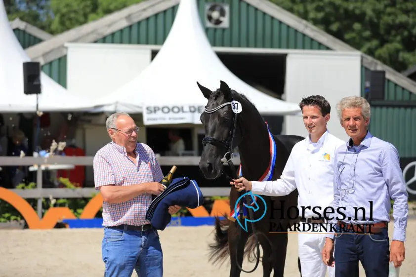 Twee Glamourdale-dochters in kampioensring Houten featured image