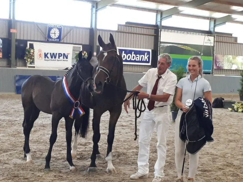 CK Limburg: Kampioensveulens van Kempinsky en Daily Diamond featured image