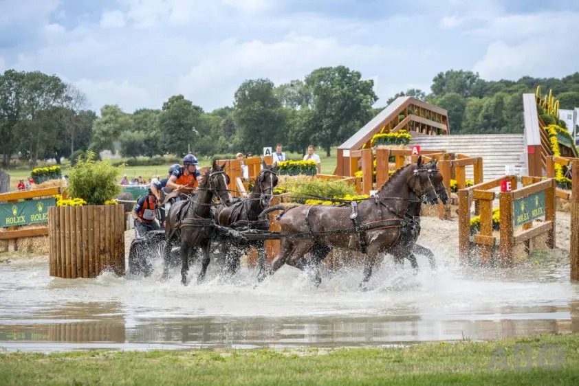 Team goud, individueel zilver en brons voor Nederlandse vierspanrijders featured image