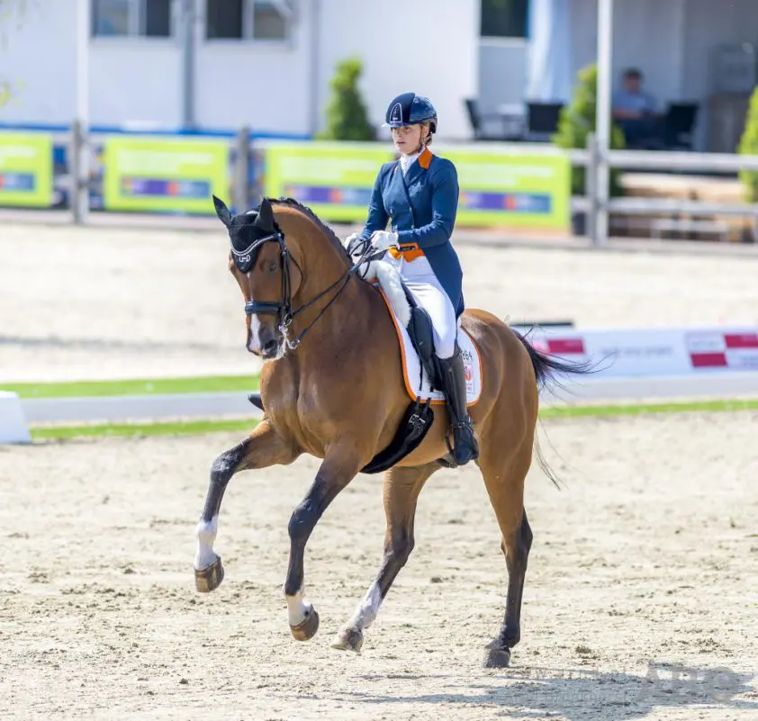 Anne Meulendijks: ‘Ik voel me een stuk minder het snotaapje’ featured image