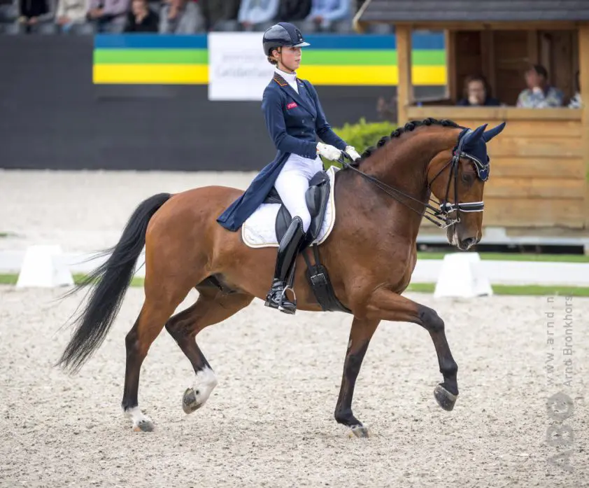 Teamgoud voor Nederlandse young riders in Hongarije featured image