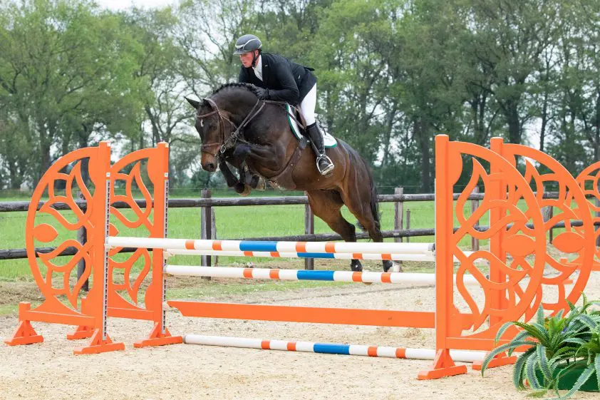 De Wolden Summer Sale: Twee paarden wisselen van hand voor 100.000 euro featured image