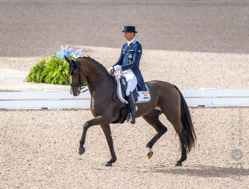 Zweeds dressuurteam voor EK Rotterdam bekend featured image