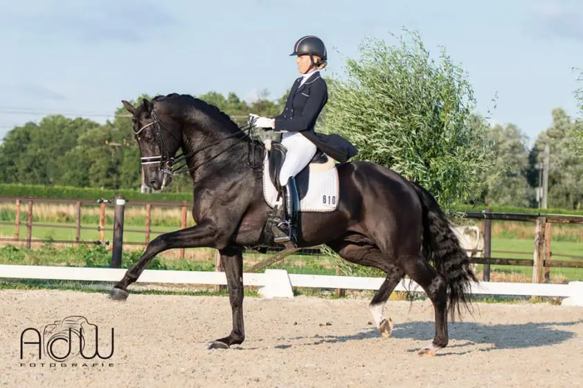 Vai Bruntink naar dik 78% in kur met Cum Laude featured image