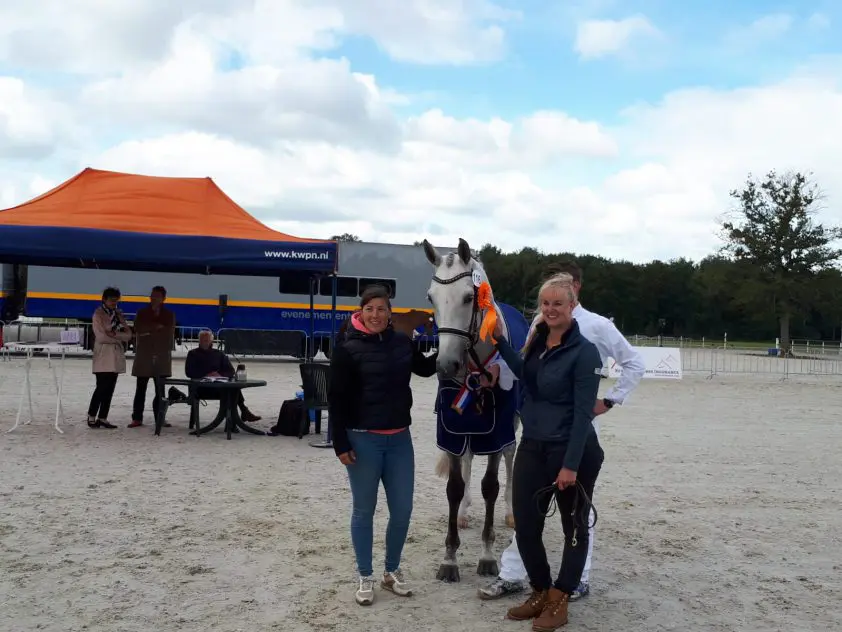 Indira van het Goorhof aan kop, kampioenstitel voor Highlight featured image