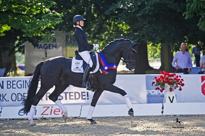 Oldenburger Landesturnier jaar opgeschoven featured image