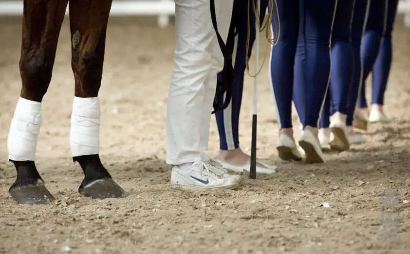 Eerste kampioenen gehuldigd op de Hippiade Voltige featured image