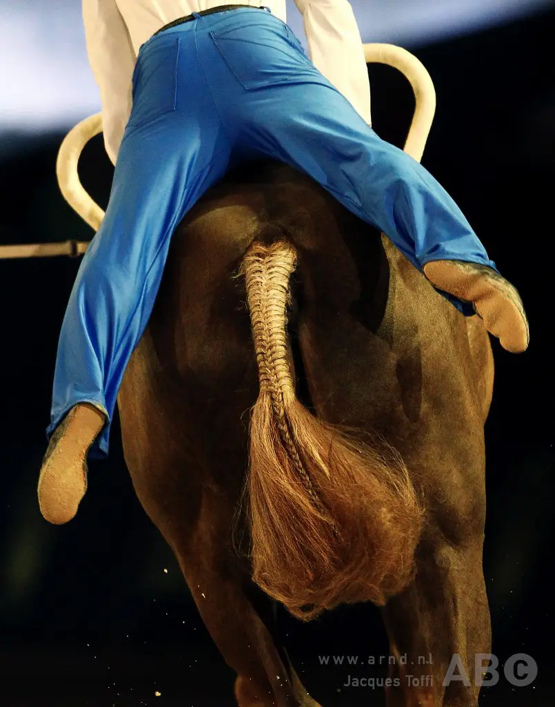 KNHS start pilot toezichthouder voorterrein voltige featured image