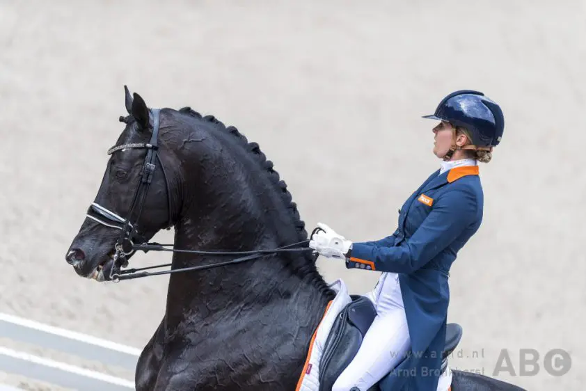 Scholtens: ‘Desperado is gevoeliger dan je denkt’ featured image