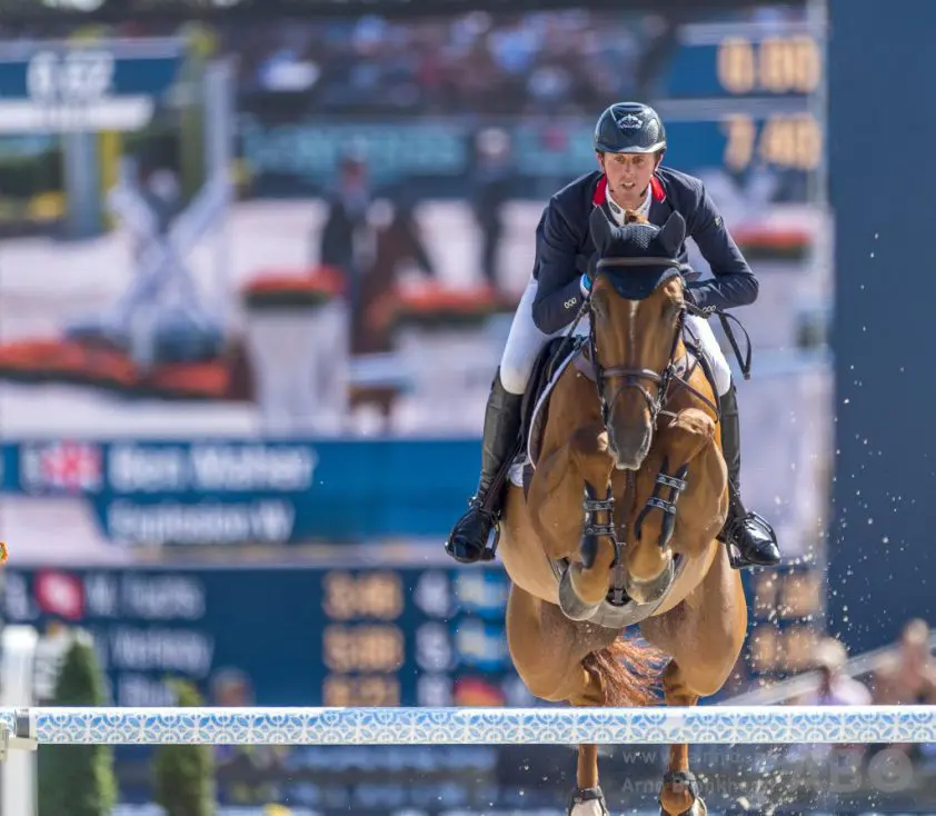 KWPN bovenaan WBFSH-rankings dressuur en springen featured image