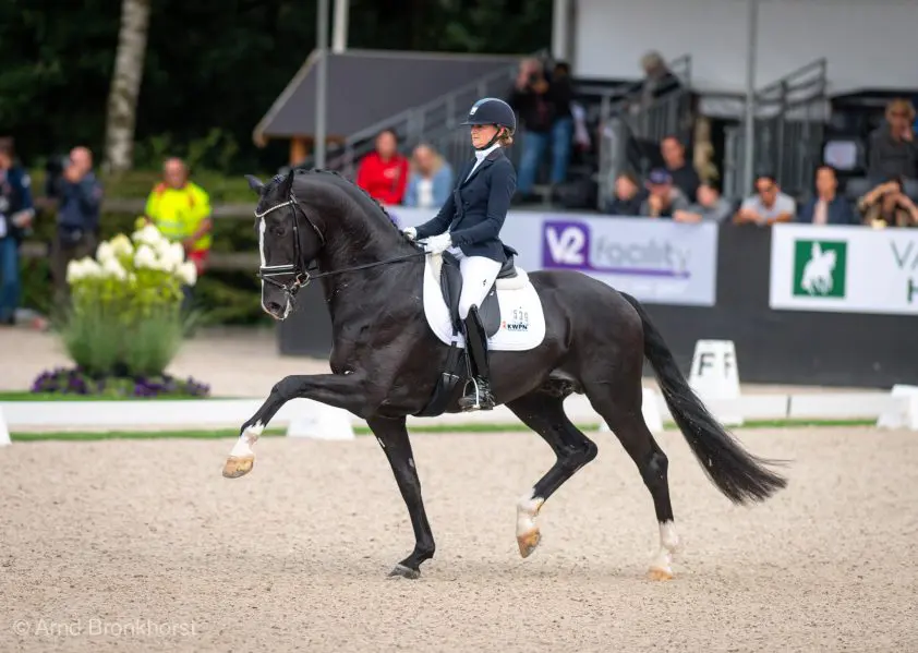 IBOP Tolbert: Jameson RS2-dochter Rodea P naar 82,5 punten featured image