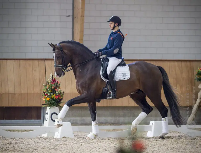 Riccardo Sanavio bij een jury richting 80%: ‘Beste paard dat ik ooit heb gereden’ featured image