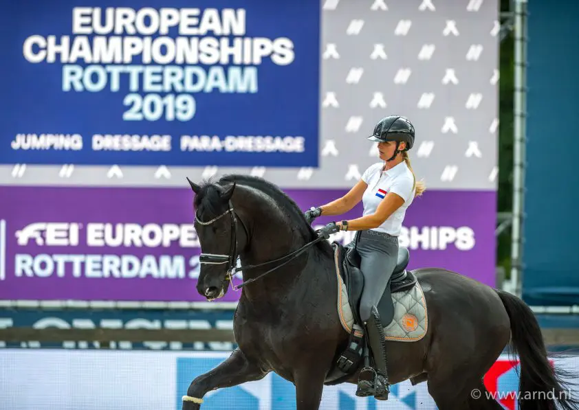 Overzichtspagina EK Rotterdam 2019 featured image