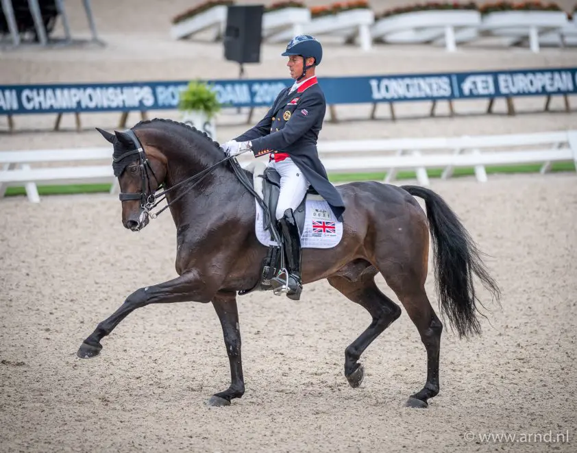 Hawtins Delicato van Carl Hester naar Fiona Bigwood featured image