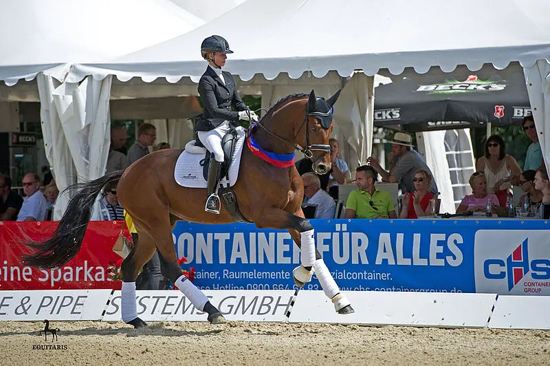Van Uytert Mixed Sales: 35000 euro voor Fynch Hatton-zoon featured image