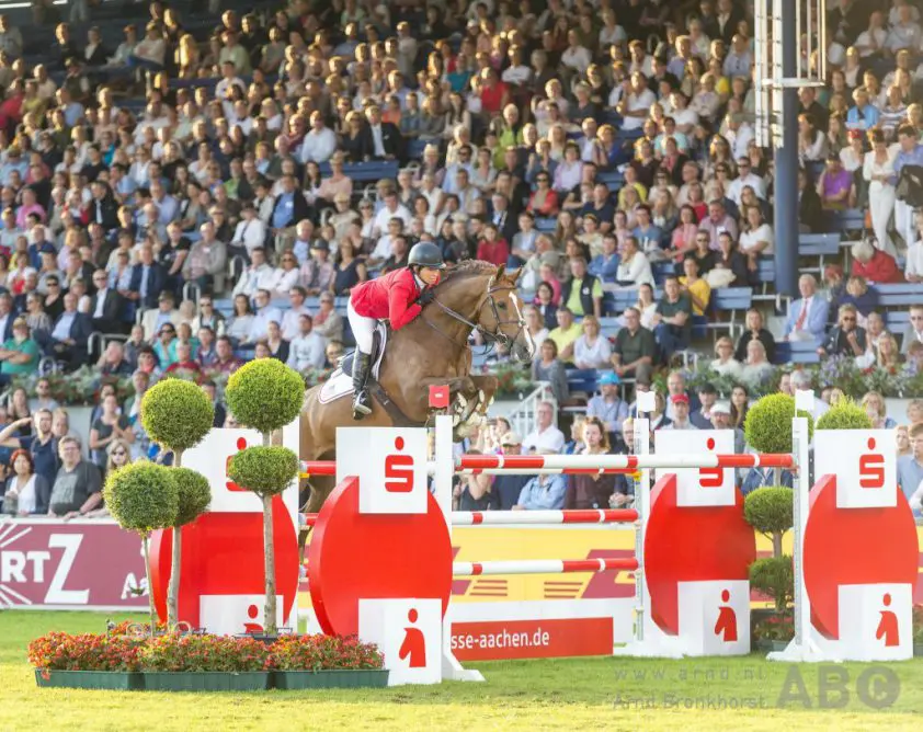 Beezie Madden koopt I’m Special de Muze uit moeder Garant featured image