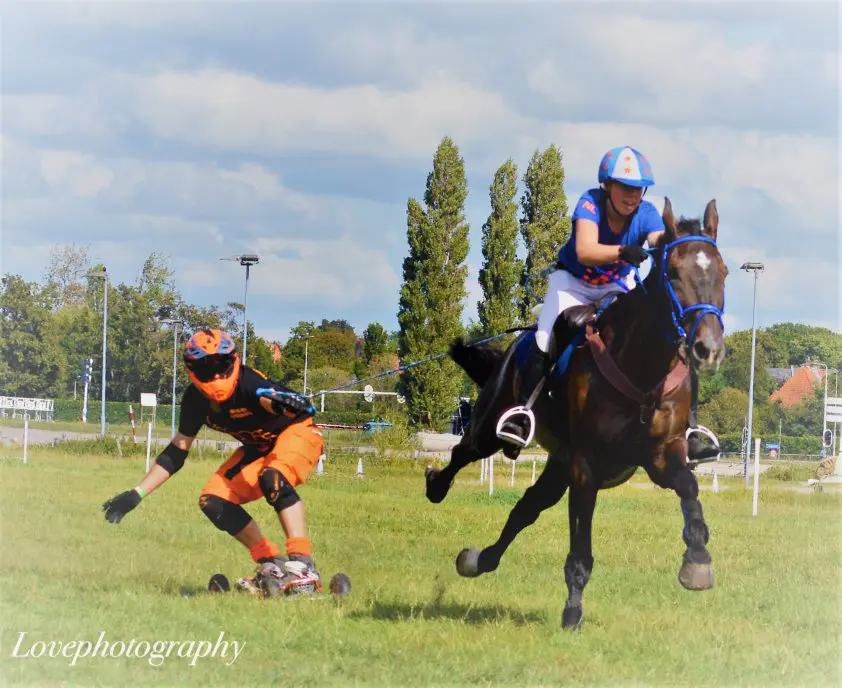 Nieuw Wereldsnelheidsrecord Horseboarding op Duindigtse ‘Dag van het Paard’ featured image