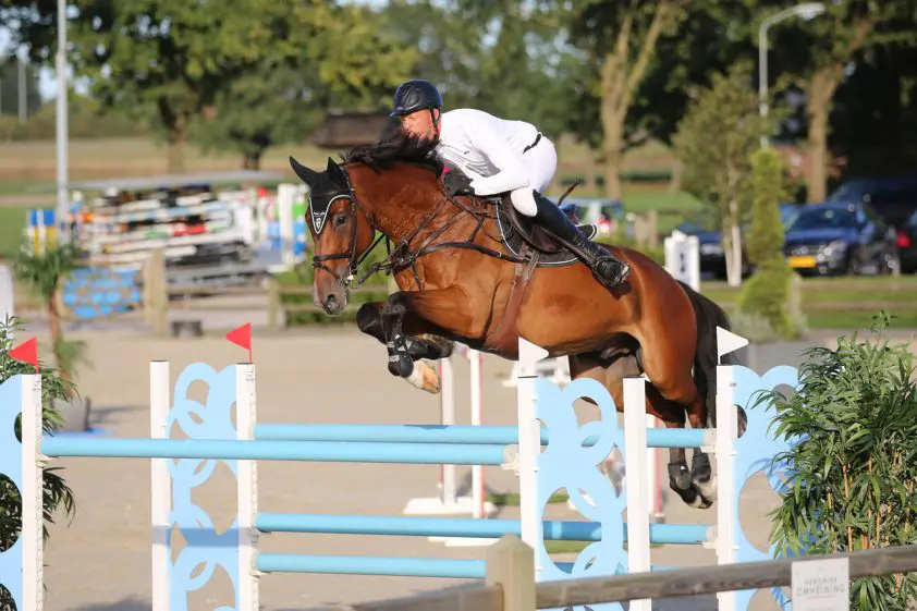 Been, Knoester en Mulder kleuren in Exloo podium oranje featured image