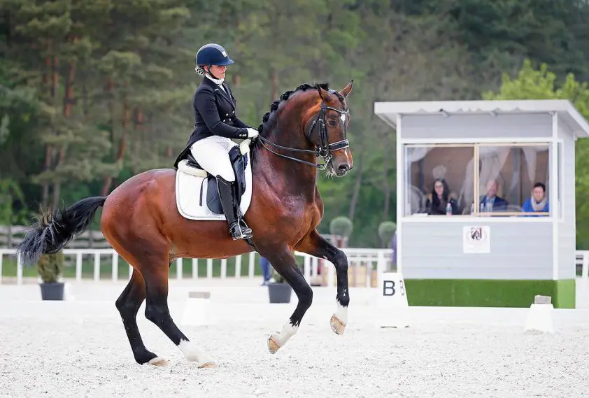 Yom-Tov en Anky Holding krijgen beide nul op rekest bij rechter featured image