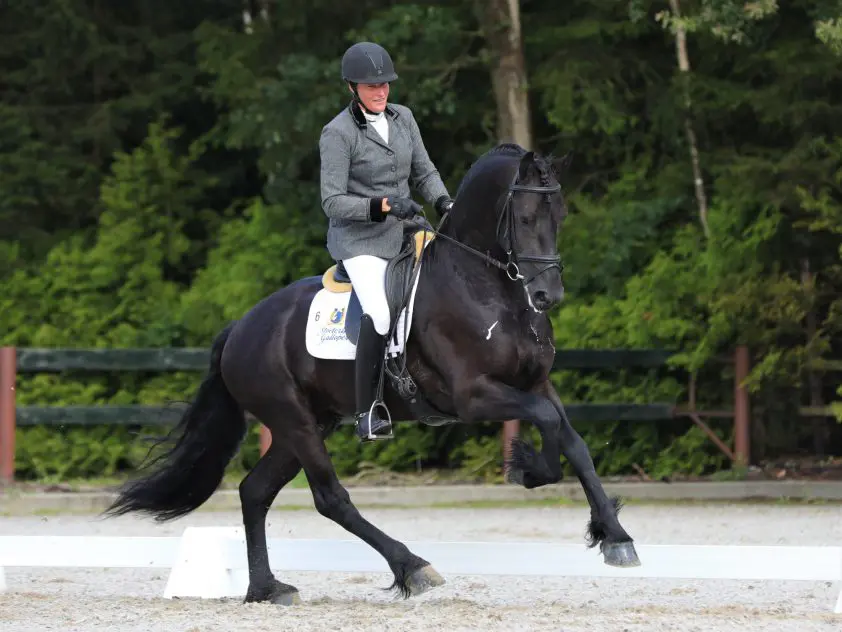 Bouwman-Wind rijdt Yme Ids Galloper naar winst in Europees Kampioenschap 4-jarigen featured image