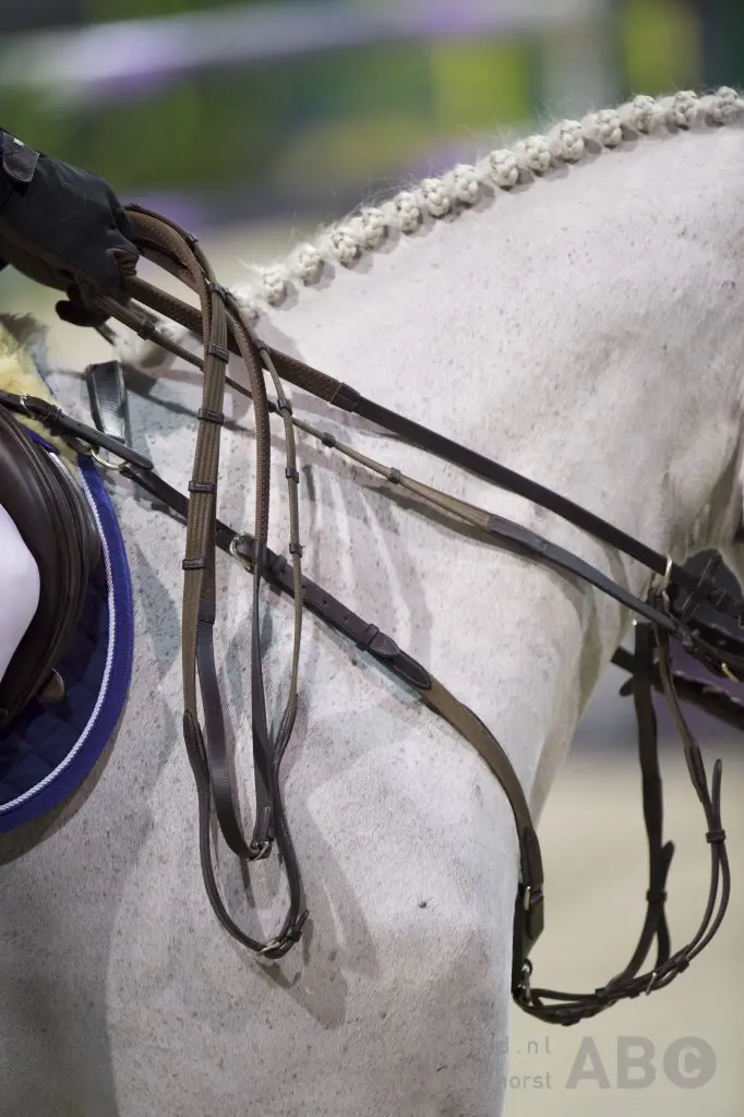 Siebe Leemans wint eerste competitiewedstrijd KNHS Hartog Lucerne Trophy featured image