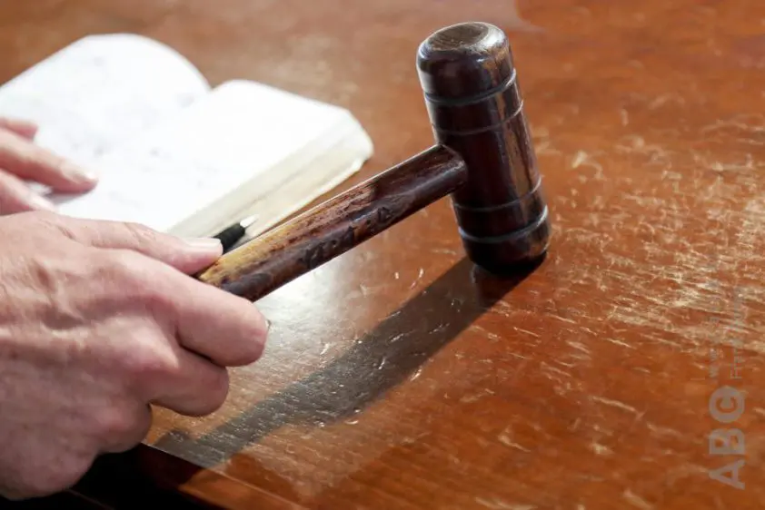 Holsteiner voorjaarsveiling: Million Dollar-dochter met 44.500 euro veilingtopper featured image