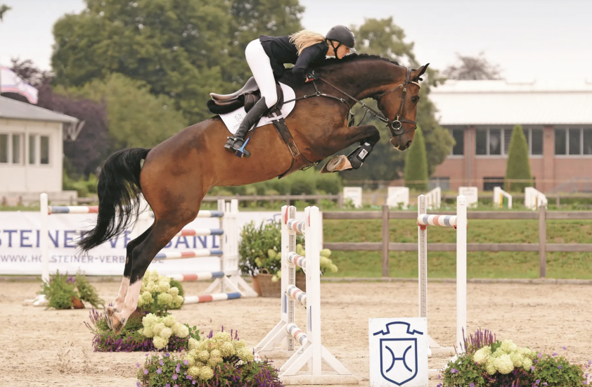 82.000 euro topper Holstein, gemiddelde dik 33.000 euro featured image