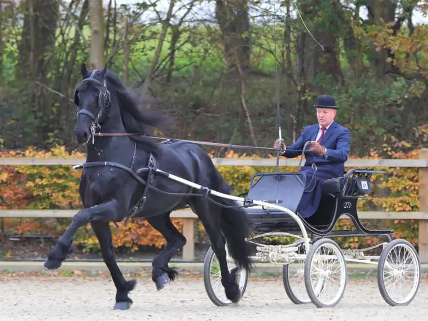Wibout 511 bovenaan in limietklasse in Roden featured image