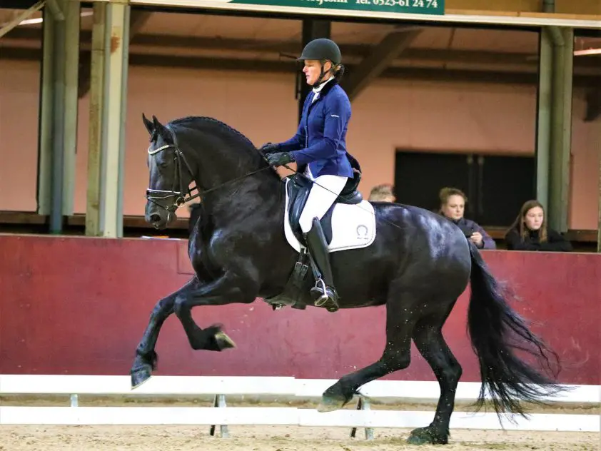 Chrystal Jede en Bauke K aan kop in halve finale Friesian Talent Cup featured image