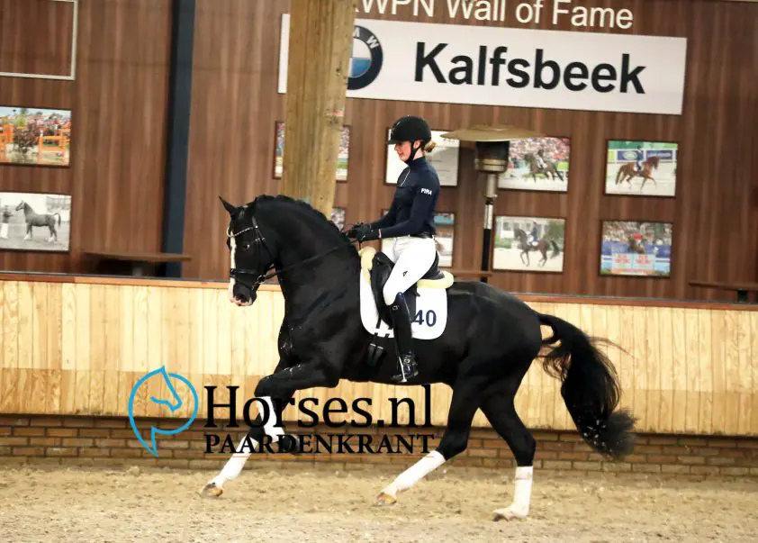 Kaiman vertrokken naar eigenaar Iron Spring Farm featured image