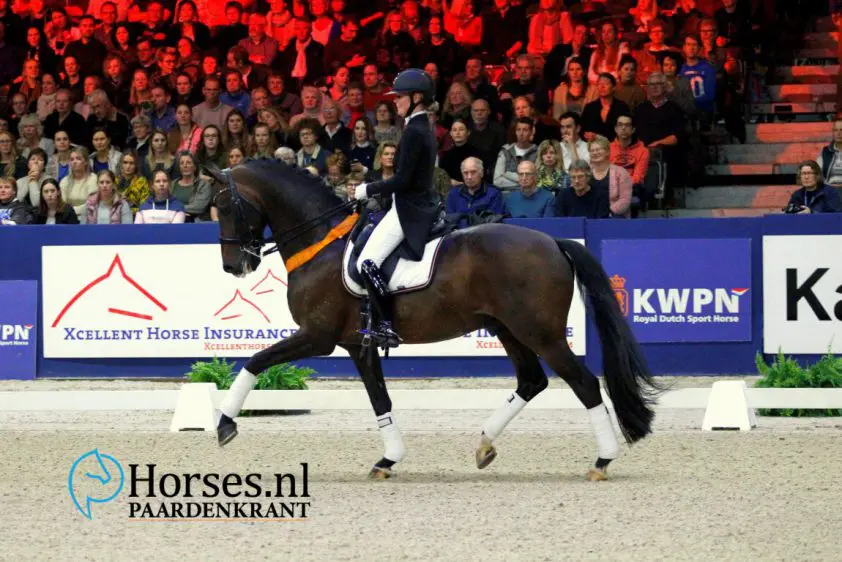 KWPN top-3 op HorseTelex dressuurranking: Bordeaux, Ampère, Apache featured image