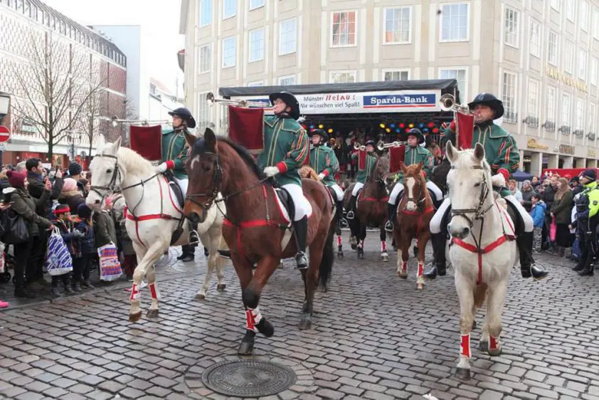 Te zware ruiters worden in Keulen van paard gehaald featured image