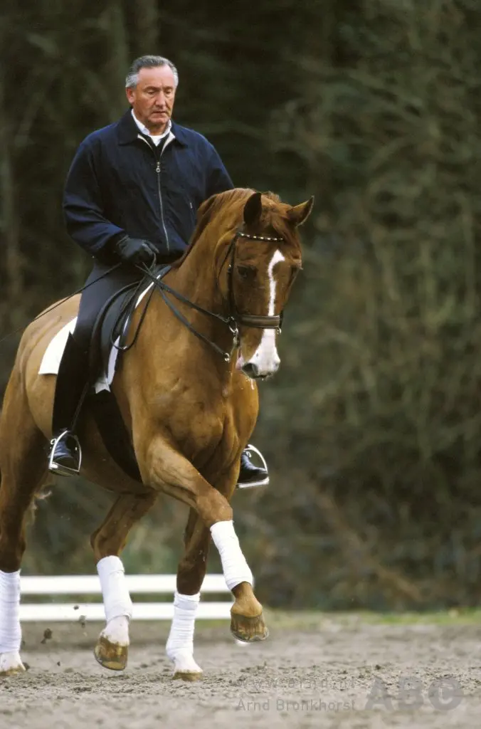 Golden Oldies: Goldstern featured image