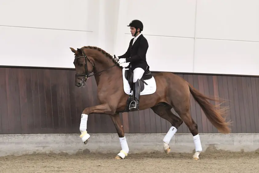 HK FWB: Kampioenen van Vivino en Don VHP Z featured image