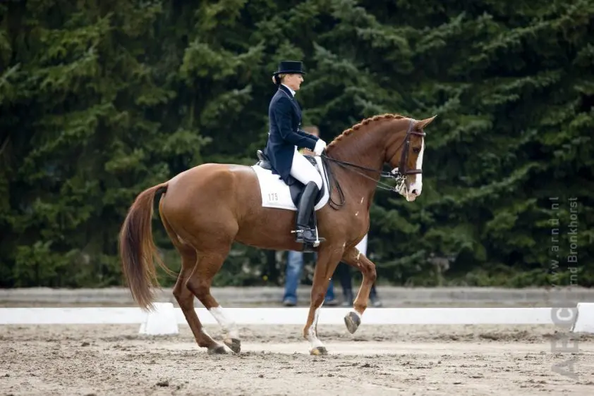 Golden Oldies: Contango featured image