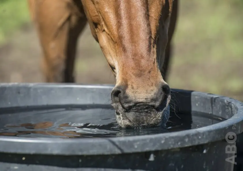 10 weetjes over water featured image