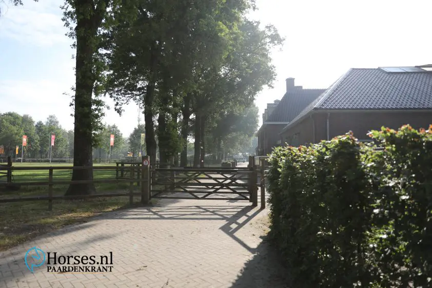 KWPN Najaarsonderzoek: Startlijst tweede tussenbeoordeling online featured image