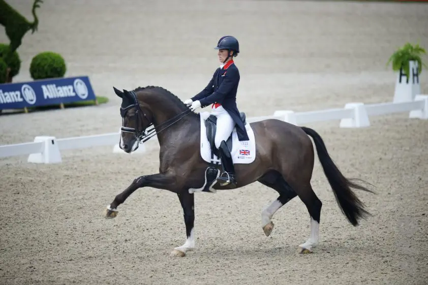 Afscheid van twee grootheden: Valegro en Uthopia overleden featured image