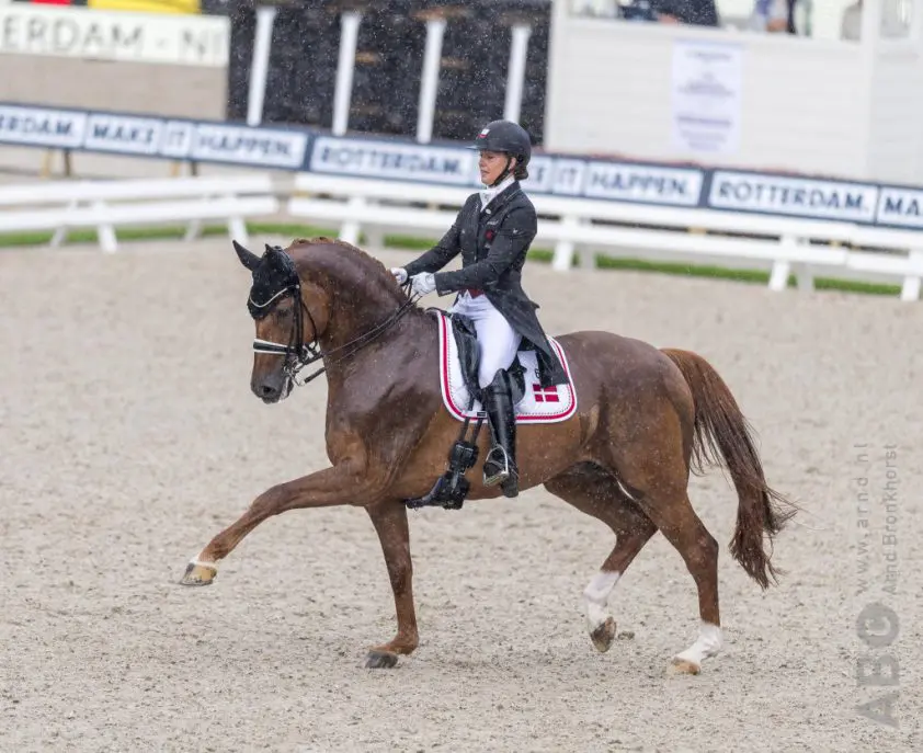 Dufour neemt het stokje van Dujardin over als testruiter Breeders Trophy featured image