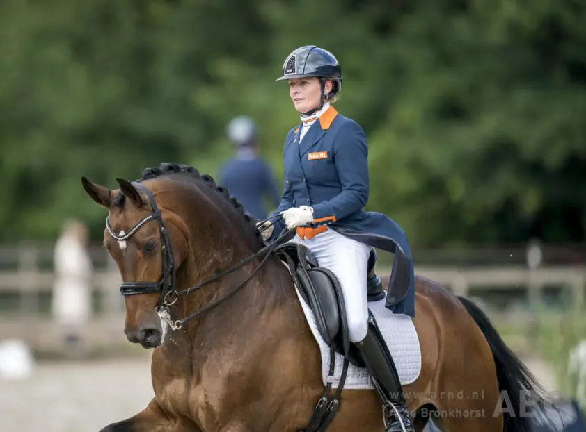 Margo Timmermans wint voor derde keer op rij Nederlandse Working Equitation-titel featured image