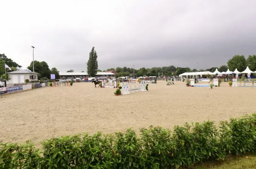 Volgende week Holsteiner paardendagen featured image
