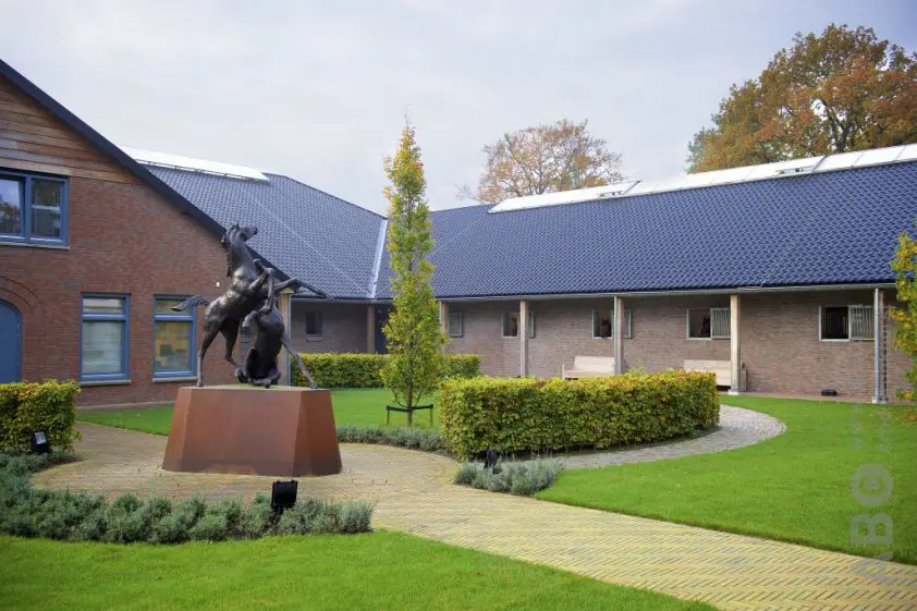 KWPN publiceert in maart genoomfokwaarden sport en exterieur featured image