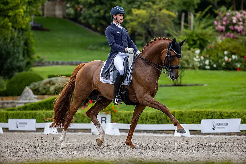 Grande Preis 2025 voor Destacado featured image