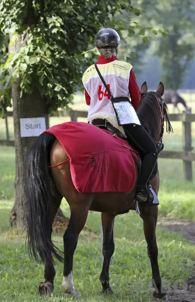 <strong>Enduranceruiter en FEI-dierenarts geschorst </strong> featured image