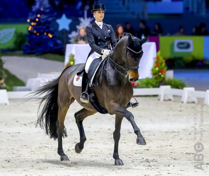 Dalera danst naar 4* overwinning in Donaueschingen featured image