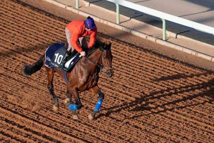 Mishriff pakt Franse Derby in Chantilly featured image