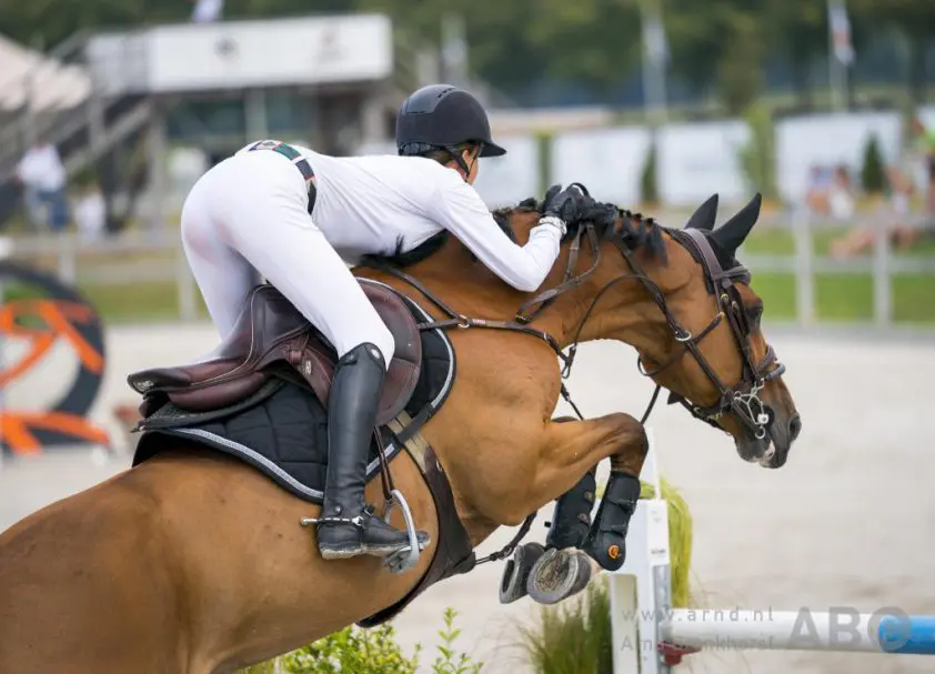 Emmen en Wiering succesvol bij jonge paarden in Valkenswaard featured image
