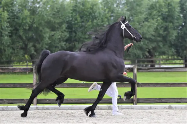 Rafaelle van de Olde Mette Moate wordt tóch Model featured image