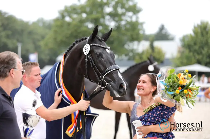Dreamboy-dochter Magna Charta NMK kampioene dressuur featured image