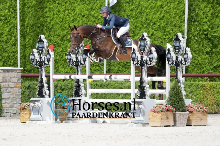 Blom Cup: 68 vijfjarigen foutloos in eerste onderdeel featured image